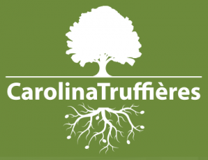 Carolina Truffiere