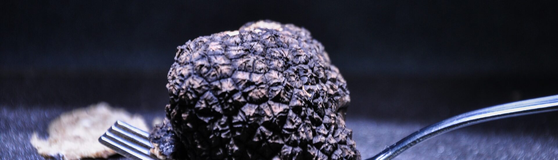 Understanding Basic Principles for Black Truffle Cultivation by Christine Fischer