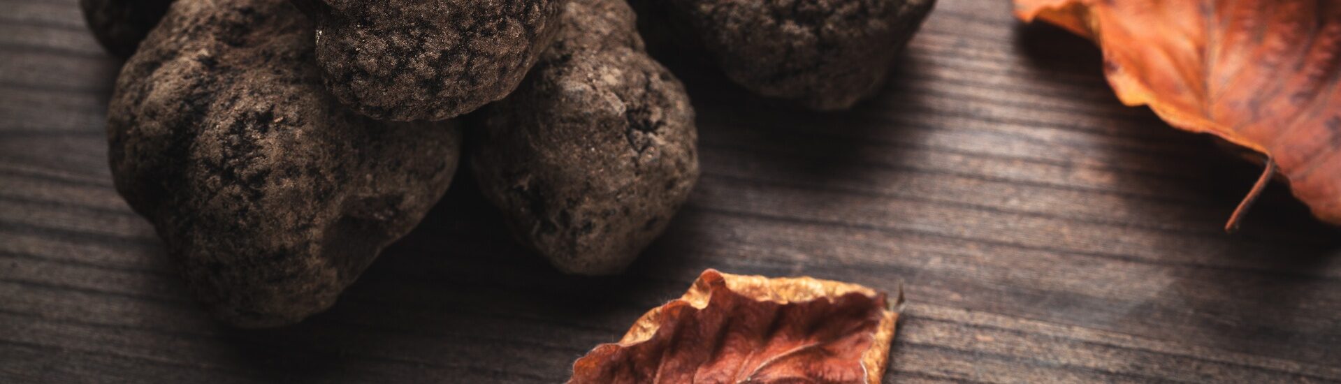 Truffles, of course
