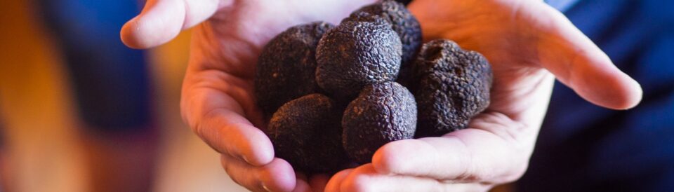 About Truffles - NATGA