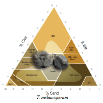 Morcillo et al. 2015 Soil texture triangle showing the percentage of clay, silt and sand for each soil types and the soil types where Tuber melanosporum is naturally found.