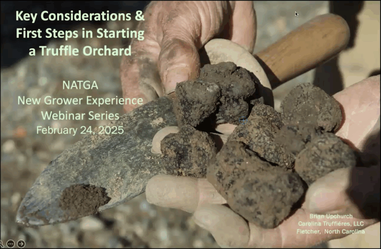 Title slide for the Key Considerations and Frist Steps in Starting a Truffle Orchard webinar