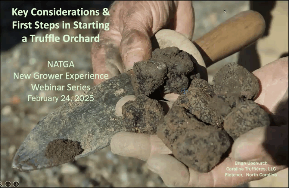 Title slide for the Key Considerations and Frist Steps in Starting a Truffle Orchard webinar