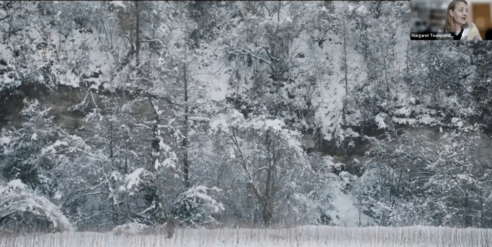 Forest In the snow