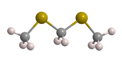 3D representation of 2,4 Dithiapentane