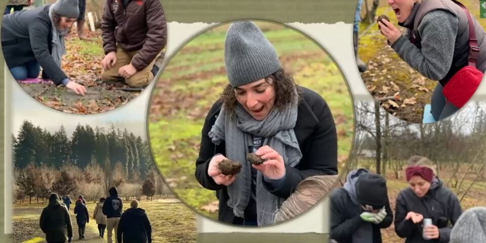 Truffle Hunting Experience at the Cartwright Trufiere