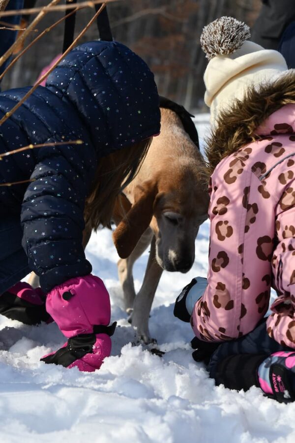 01.11.2025 Truffle Hunt Megan Bannon 2 squooshed