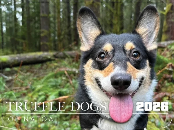 Truffle Dogs of NATGA 2026 Calendar cover featuring Georgie the Corgi